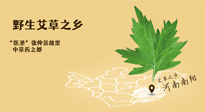 艾草越嫩越好，還是越久越好？悄悄告訴你：艾草這樣用，效果最好！