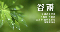 【二十四節(jié)氣灸】谷雨時(shí)節(jié)，用艾為您的健康加上一道保險(xiǎn)！