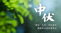 【三伏養(yǎng)生】至熱中伏，吃三樣，喝三樣，三大禁忌千萬(wàn)別犯，小心落下病根！