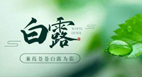 【二十四節(jié)氣灸】白露涼爽，養(yǎng)心肝脾胃、滋陰潤肺是關(guān)鍵！