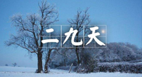 【三九養(yǎng)生】冬二九，扶陽補腎氣，讓你陽氣充足一整年！