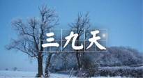 【三九養(yǎng)生】冬三九，三九第三灸，一年中最后艾灸黃金9天！