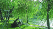 【養(yǎng)生知識(shí)】元宵入六九，春季已至，六九天的養(yǎng)生知識(shí)你知道多少？