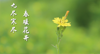 【九九養(yǎng)生】三月四日“九九日”，寒冬已過(guò)。春天養(yǎng)好身，全年不怕??！