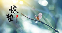 【二十四節(jié)氣灸】驚蟄節(jié)氣，艾灸喚醒抵抗力、補(bǔ)充陽(yáng)氣的最好時(shí)機(jī)！