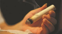 【艾灸知識】春暖花開，衣衫漸薄，再不減肥，身上的肉肉可藏不住了！