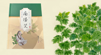 【行業(yè)資訊】國內(nèi)首部艾草專著《南陽艾》，在南陽新書首發(fā)！