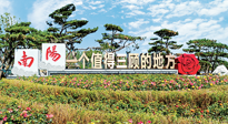 【行業(yè)資訊】南陽一個值得三顧的地方！“丹江水”“仙草艾”成為 “南陽禮物”新爆款！