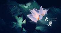 【二十四節(jié)氣灸】趁大暑好好艾灸，才不辜負三伏天的驕陽！