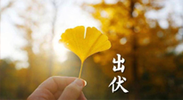 【艾灸三伏天】出伏啦！三防三宜兩穴位，防止身體“秋后算賬”！