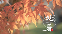 【二十四節(jié)氣灸】處暑，冬病夏治倒計(jì)時(shí)！秋涼真的要來了！