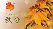 【二十四節(jié)氣灸】秋分節(jié)氣，平衡陰陽，巧用艾灸，潤燥養(yǎng)肺是關(guān)鍵！