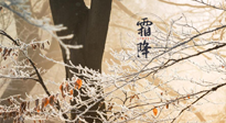 【二十四節(jié)氣灸】霜降節(jié)氣：艾灸四穴，護(hù)您冬天安然無恙！