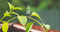 【二十四節(jié)氣灸】谷雨節(jié)氣脾土濕，艾灸降濕濁，脾旺不受邪！