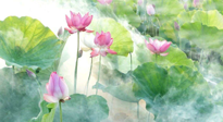 【養(yǎng)生知識】花開半夏，夏至養(yǎng)生，這些知識一定要牢記！