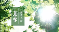 【艾灸三伏天】今年三伏不一般，仙草小助理建議大家早作準備哦！