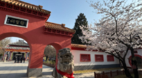 【行業(yè)資訊】新華財經(jīng)：守正創(chuàng)新，中醫(yī)藥品牌化發(fā)展“更上一層樓”！