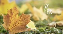 【節(jié)氣養(yǎng)生】甲辰立秋，“2做”、“2不做”，護(hù)好我們身體的正氣，預(yù)防外邪的侵襲！