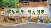 【艾草知識(shí)】小小艾草，渾身是寶，一生燃盡此身，皆為健康！